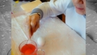 senior woman coloring egg
